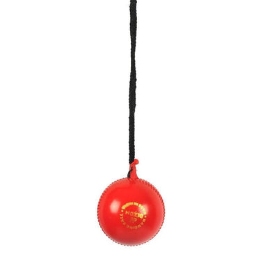 https://cdn.shopify.com/s/files/1/1857/6931/products/wshtaSS1nf.jpg?v=1710753362